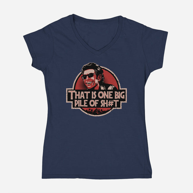 Big Pile Of-Womens-V-Neck-Tee-daobiwan