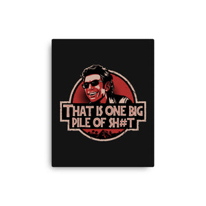 Big Pile Of