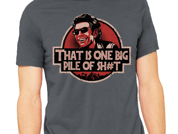 Big Pile Of