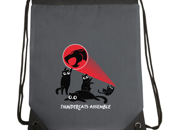 Cats Assemble