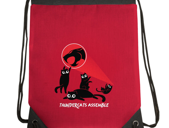 Cats Assemble