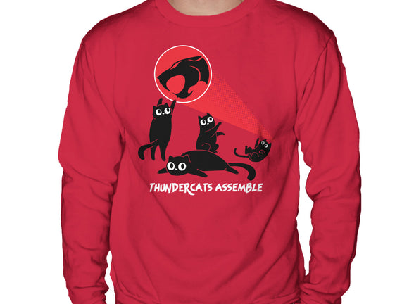 Cats Assemble