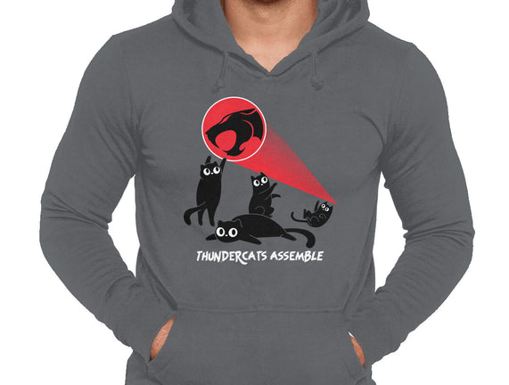 Cats Assemble