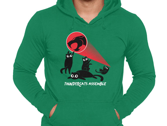Cats Assemble