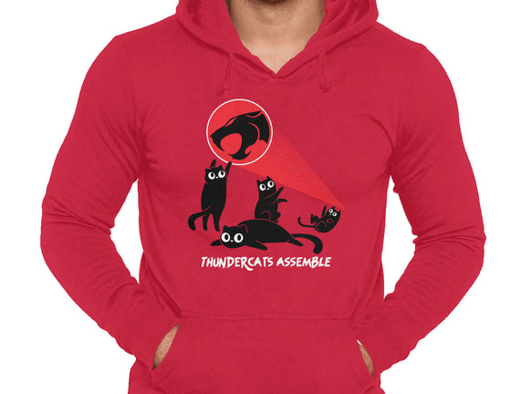 Cats Assemble