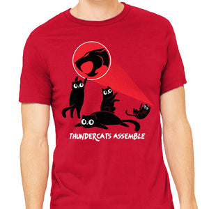 Cats Assemble