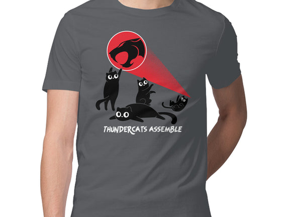 Cats Assemble