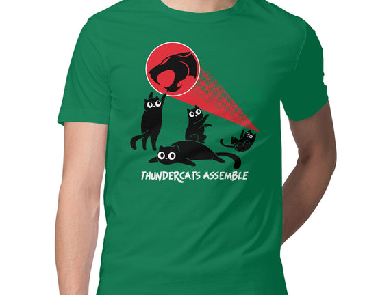 Cats Assemble