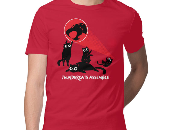 Cats Assemble