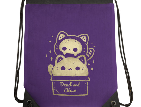 Creepy Kawaii Schrodingers Cat