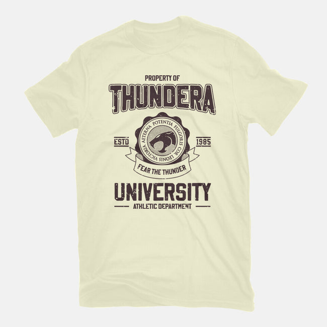 Thundera University-Mens-Premium-Tee-retrodivision