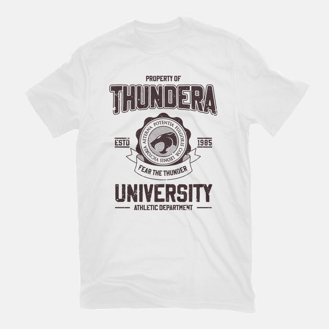 Thundera University-Womens-Fitted-Tee-retrodivision