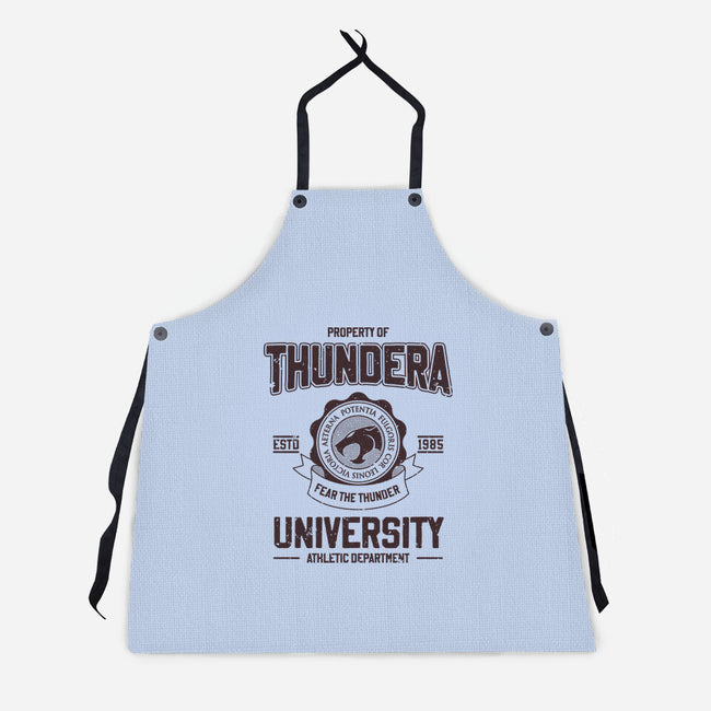 Thundera University-Unisex-Kitchen-Apron-retrodivision
