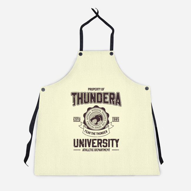 Thundera University-Unisex-Kitchen-Apron-retrodivision
