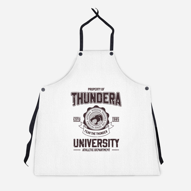 Thundera University-Unisex-Kitchen-Apron-retrodivision