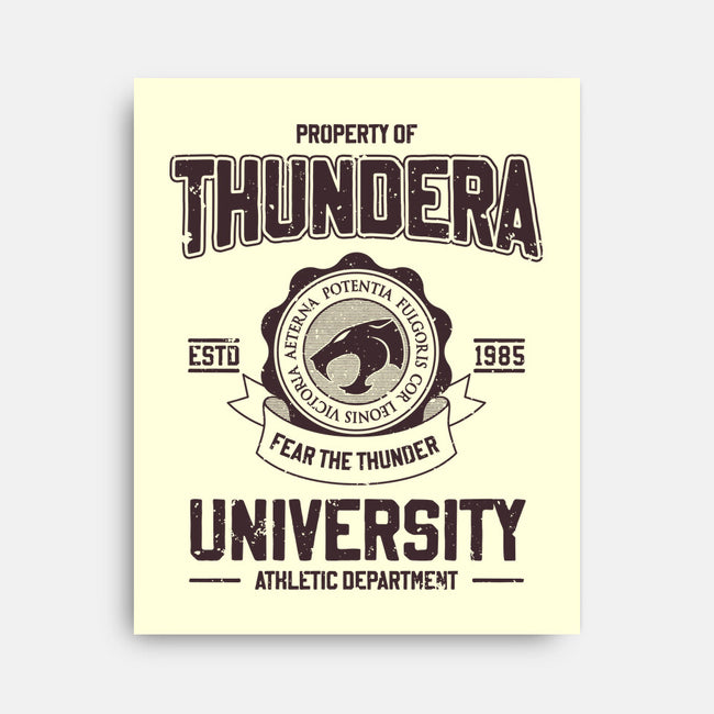 Thundera University-None-Stretched-Canvas-retrodivision