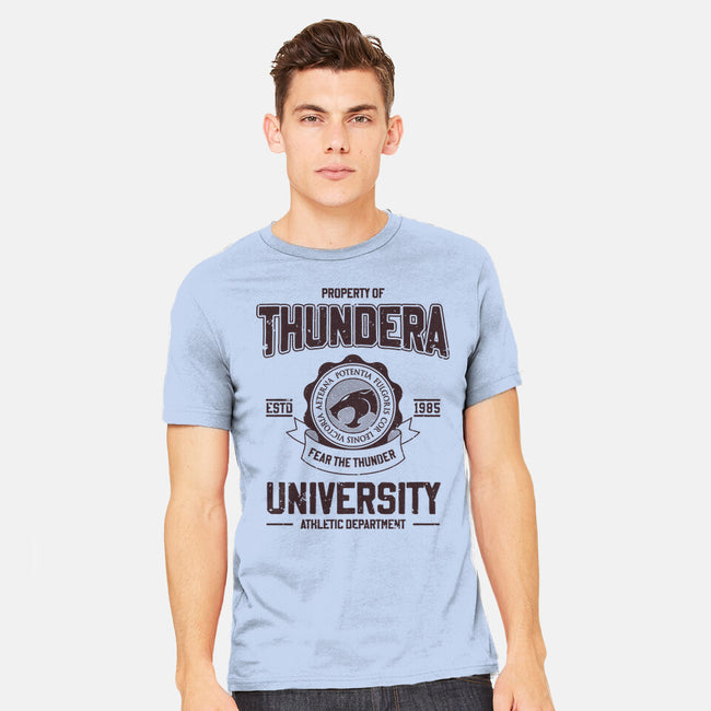 Thundera University-Mens-Heavyweight-Tee-retrodivision