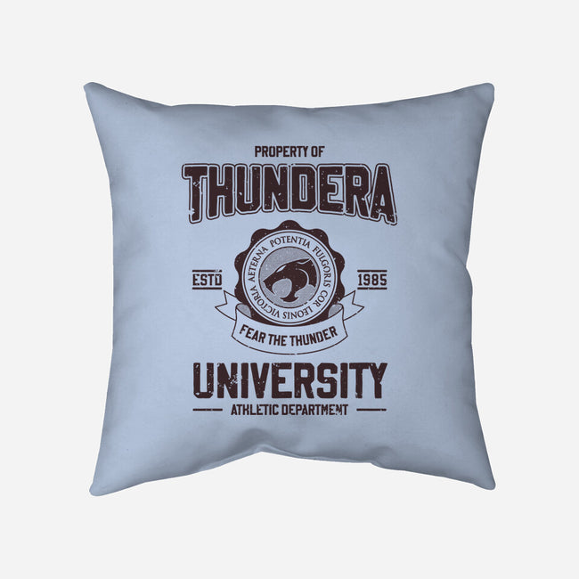 Thundera University-None-Removable Cover w Insert-Throw Pillow-retrodivision