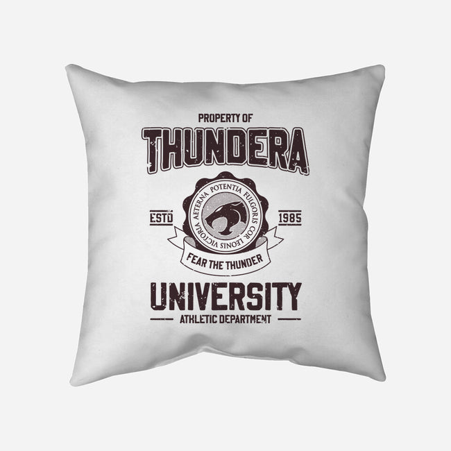 Thundera University-None-Removable Cover w Insert-Throw Pillow-retrodivision