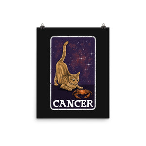 Cancer Cat