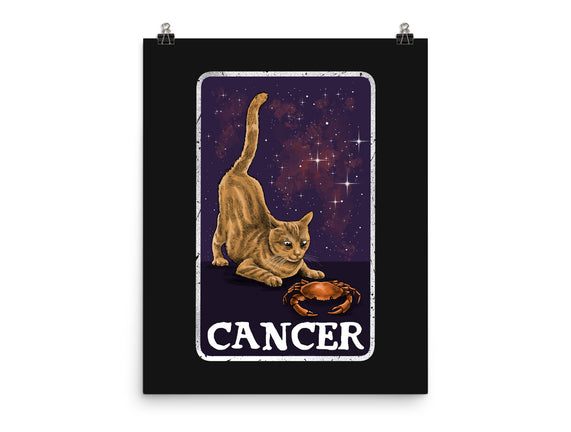 Cancer Cat