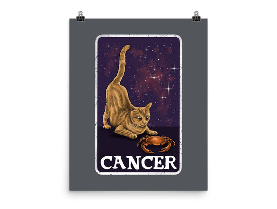 Cancer Cat