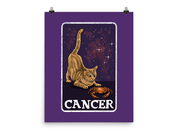 Cancer Cat