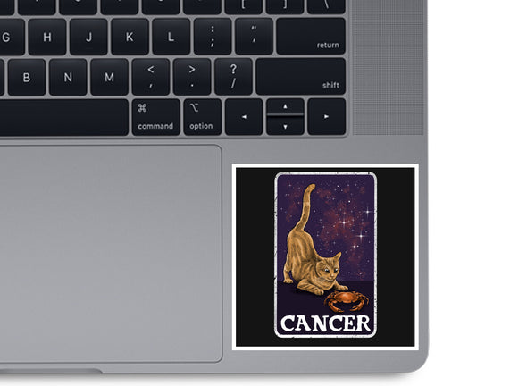 Cancer Cat