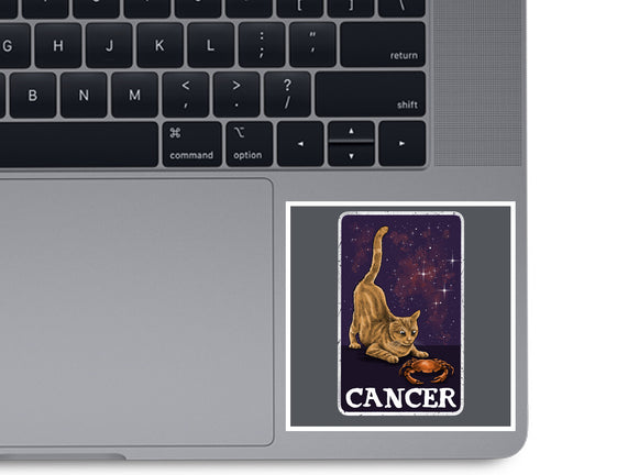 Cancer Cat