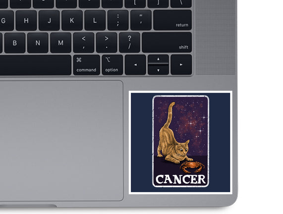 Cancer Cat