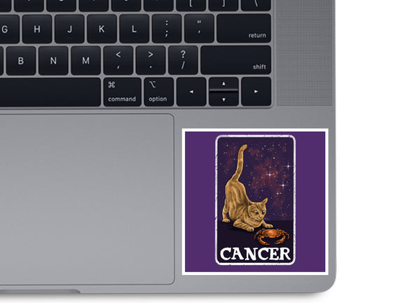 Cancer Cat