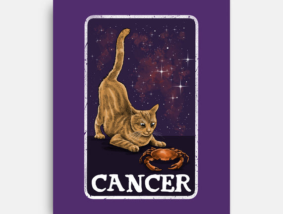 Cancer Cat