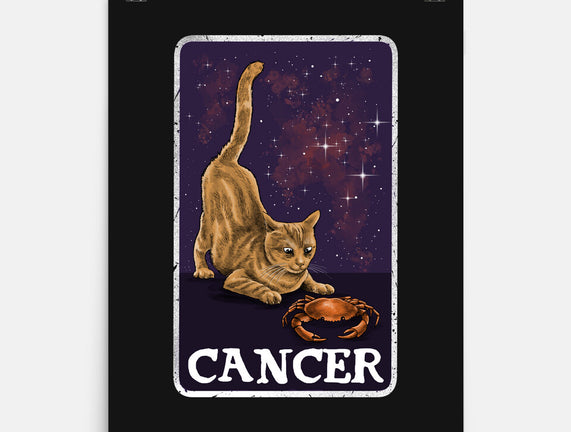Cancer Cat