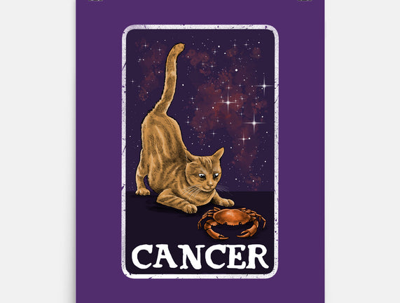Cancer Cat