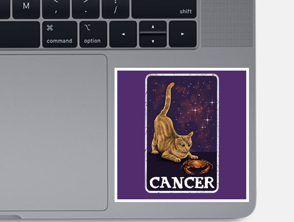 Cancer Cat