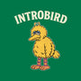 Introbird-Unisex-Pullover-Sweatshirt-alfbocreative