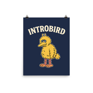 Introbird