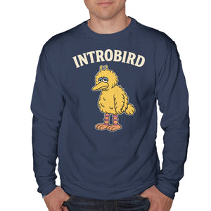 Introbird