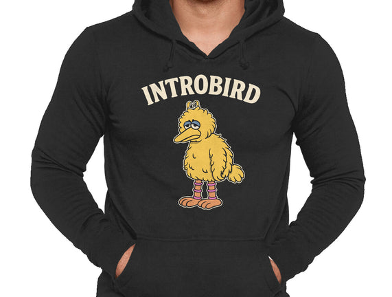 Introbird
