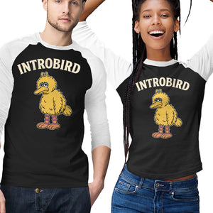 Introbird