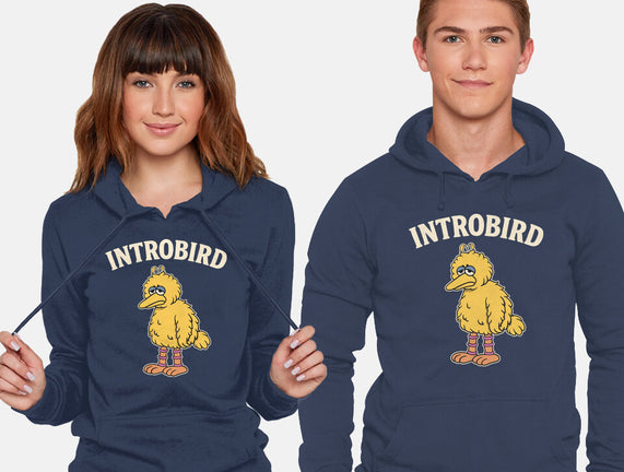 Introbird