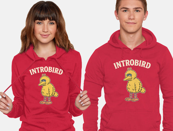 Introbird