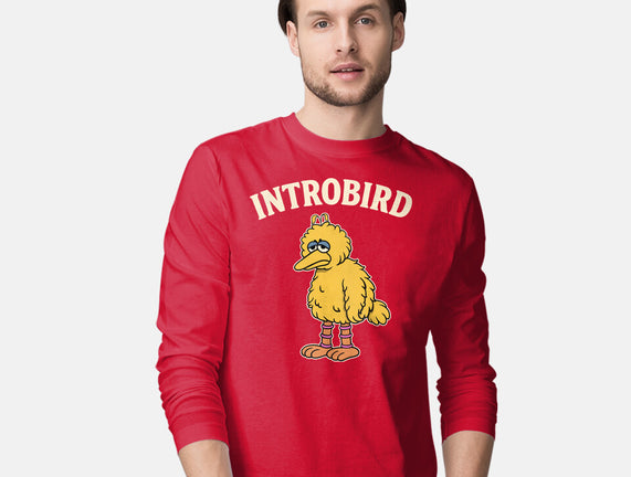 Introbird