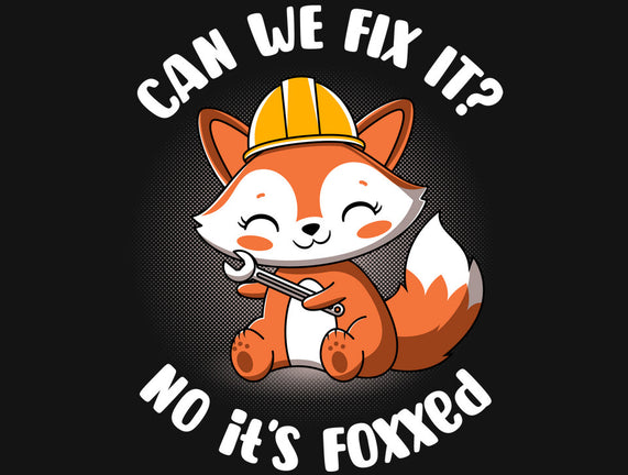 Can We Fix It Fox