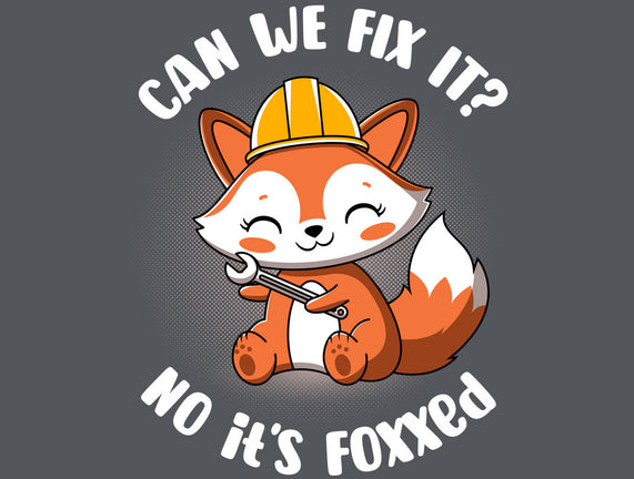 Can We Fix It Fox