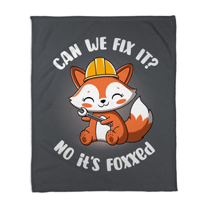 Can We Fix It Fox