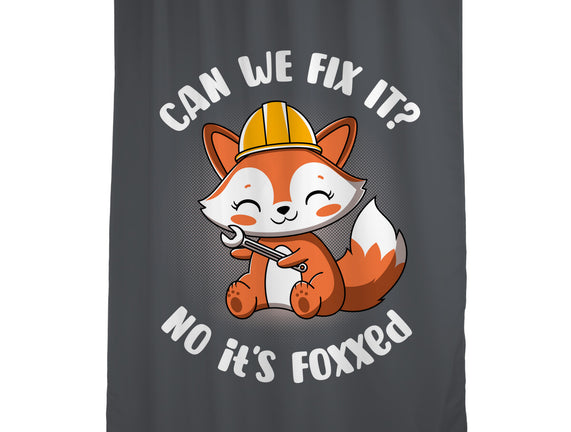 Can We Fix It Fox
