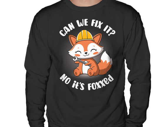 Can We Fix It Fox