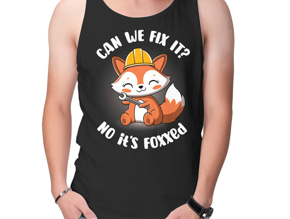 Can We Fix It Fox