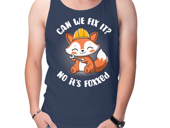 Can We Fix It Fox